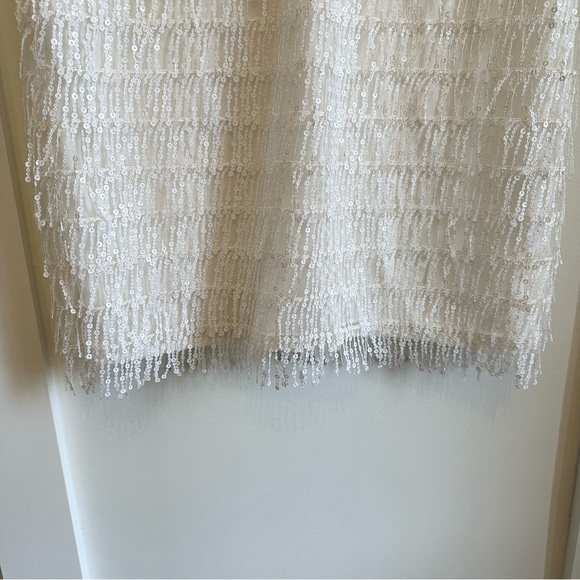 Aidan Mattox Dress Size 10 Ivory Sequined Fringe Shift Cocktail Dress - Picture 4 of 9